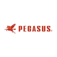 pegasus pegasus