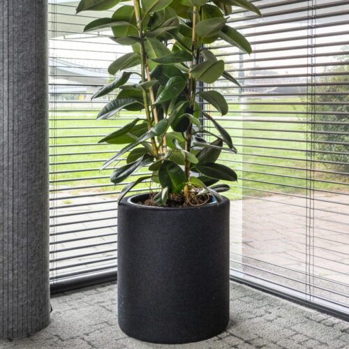 Akustiline lillepott